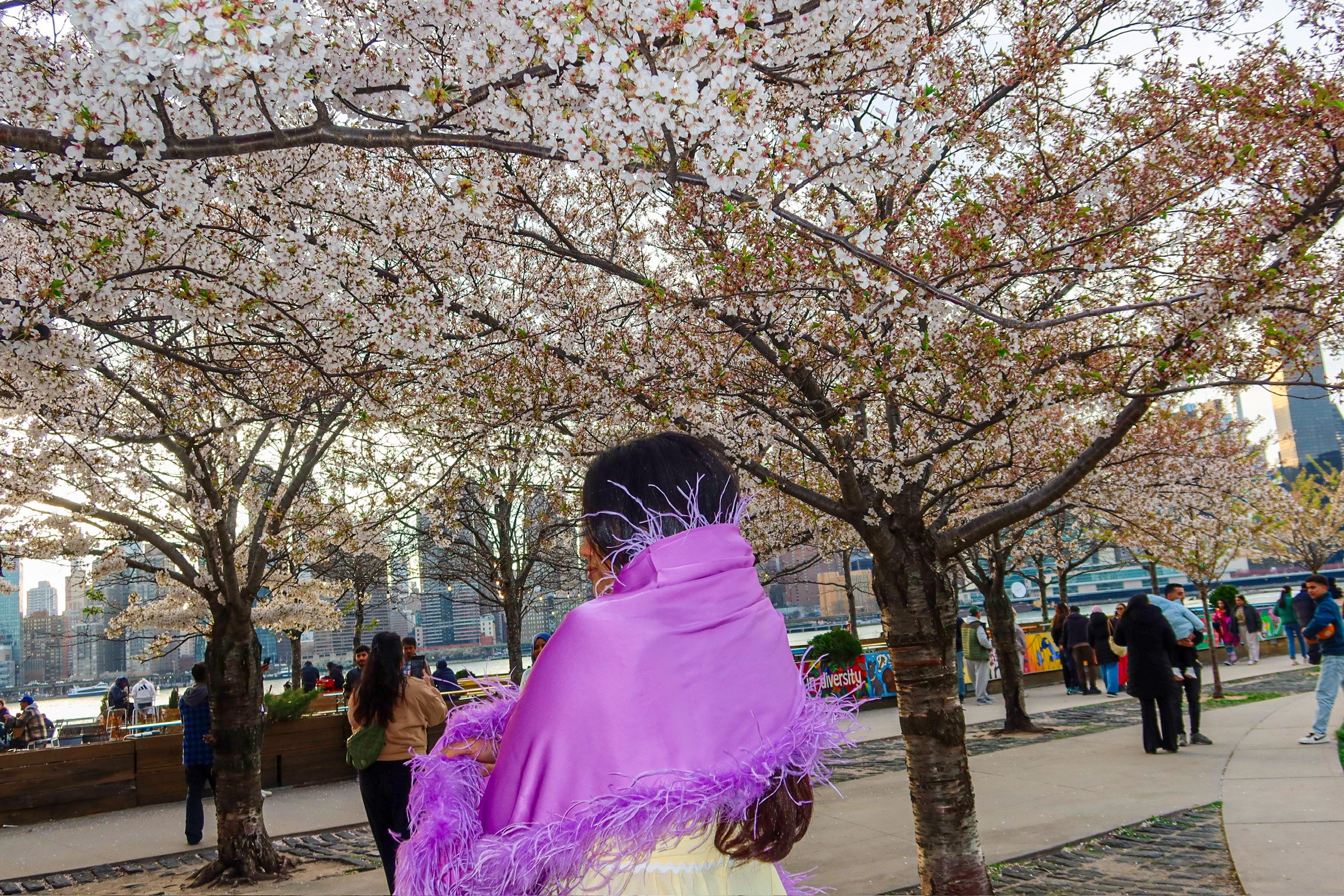 XL Ostrich Feather Silk Shawl