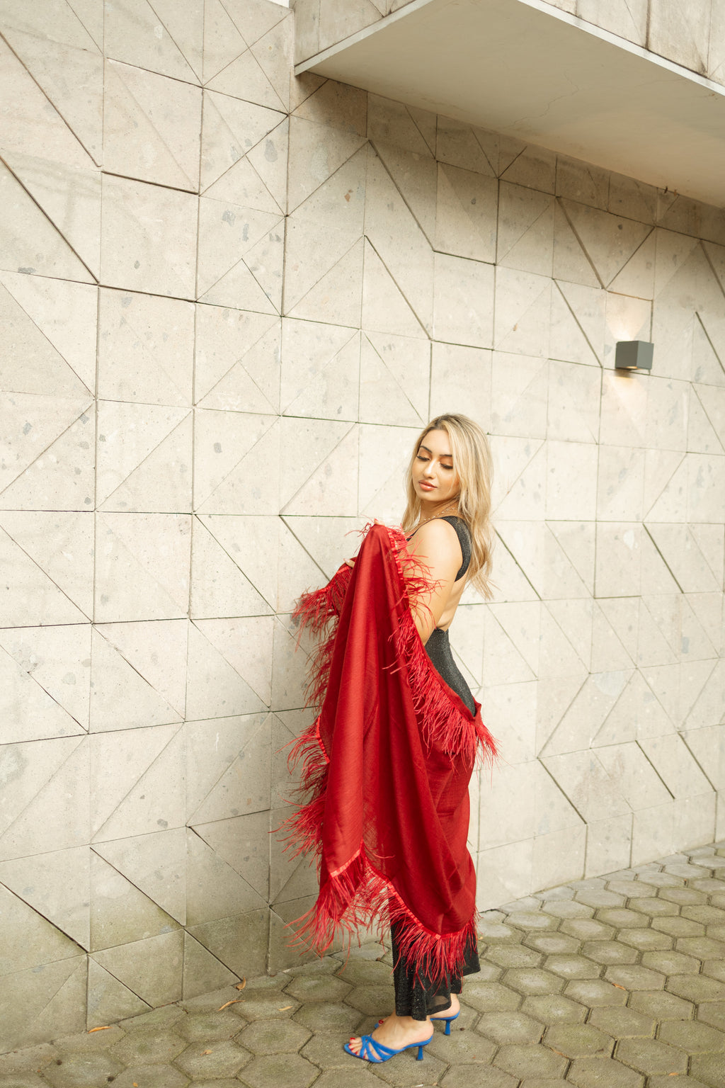 Ostrich Feather Cashmere Shawl