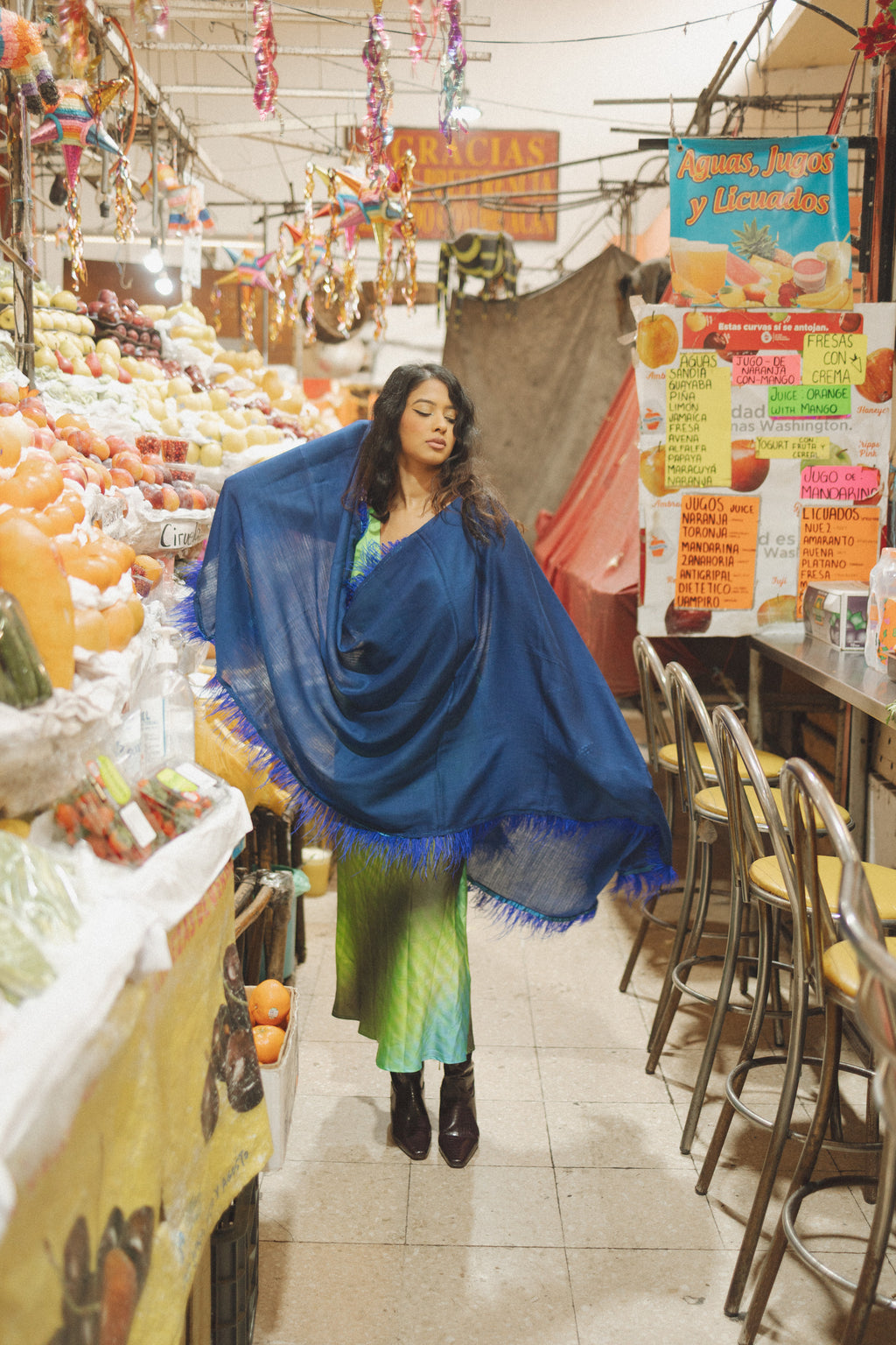 Ostrich Feather Cashmere Shawl
